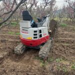 IMG-20251124-WA0045 (Large)