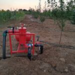 IMG-20251124-WA0053 (Large)