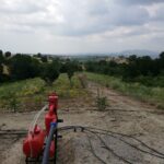 IMG-20251124-WA0075 (Large)