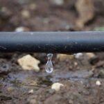 IMG-20251124-WA0079 (Large)