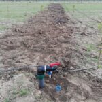 IMG-20251124-WA0081 (Large)