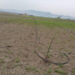 IMG-20251124-WA0082 (Large)