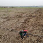 IMG-20251124-WA0089 (Large)