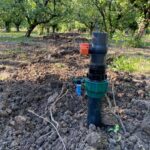 IMG-20251124-WA0090 (Large)