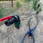 IMG-20251124-WA0100 (Large)