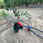 IMG-20251124-WA0104 (Large)