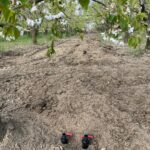 IMG-20251124-WA0105 (Large)