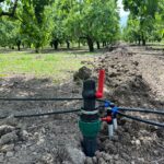 IMG-20251124-WA0106 (Large)