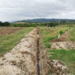 IMG-20251124-WA0109 (Large)