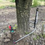 IMG-20251124-WA0113 (Large)