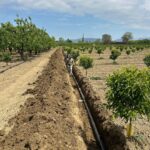 IMG-20251124-WA0118 (Large)