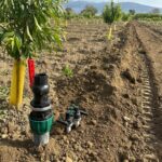 IMG-20251124-WA0119 (Large)