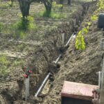 IMG-20251124-WA0121 (Large)