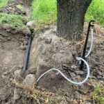 IMG-20251124-WA0122 (Large)