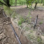 IMG-20251124-WA0123 (Large)