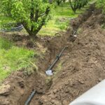 IMG-20251124-WA0124 (Large)