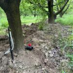 IMG-20251124-WA0125 (Large)