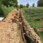 IMG-20251124-WA0127 (Large)