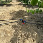 IMG-20251124-WA0130 (Large)