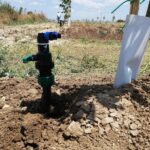 IMG-20251124-WA0131 (Large)