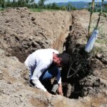 IMG-20251124-WA0135 (Large)