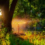 WhatsApp Image 2025-11-27 at 22.15.56