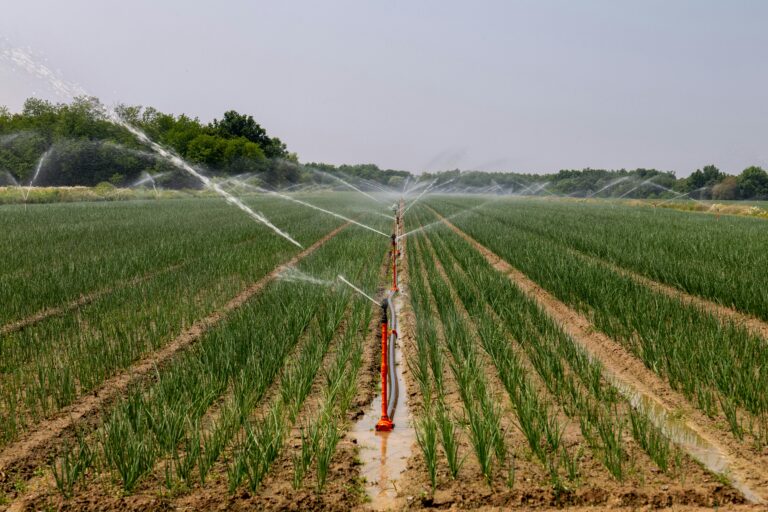 Modern Sulama Sistemlerinin Önemi ve Kurulum Detayları