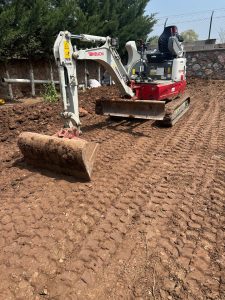 IMG-20251124-WA0047 (Large)