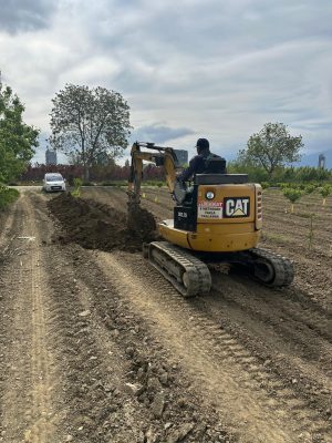 IMG-20251124-WA0050 (Large)