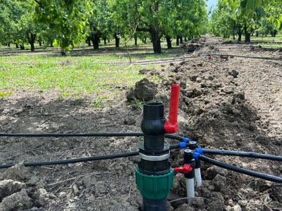 IMG-20251124-WA0106 (Large)