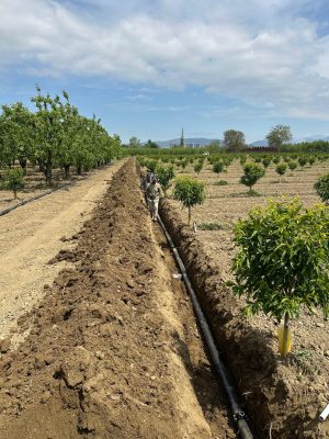 IMG-20251124-WA0118 (Large)